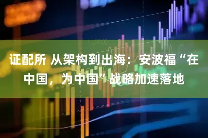 证配所 从架构到出海：安波福“在中国，为中国”战略加速落地
