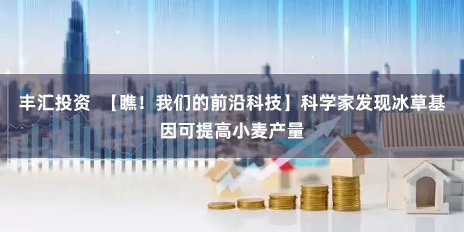 丰汇投资  【瞧！我们的前沿科技】科学家发现冰草基因可提高小麦产量
